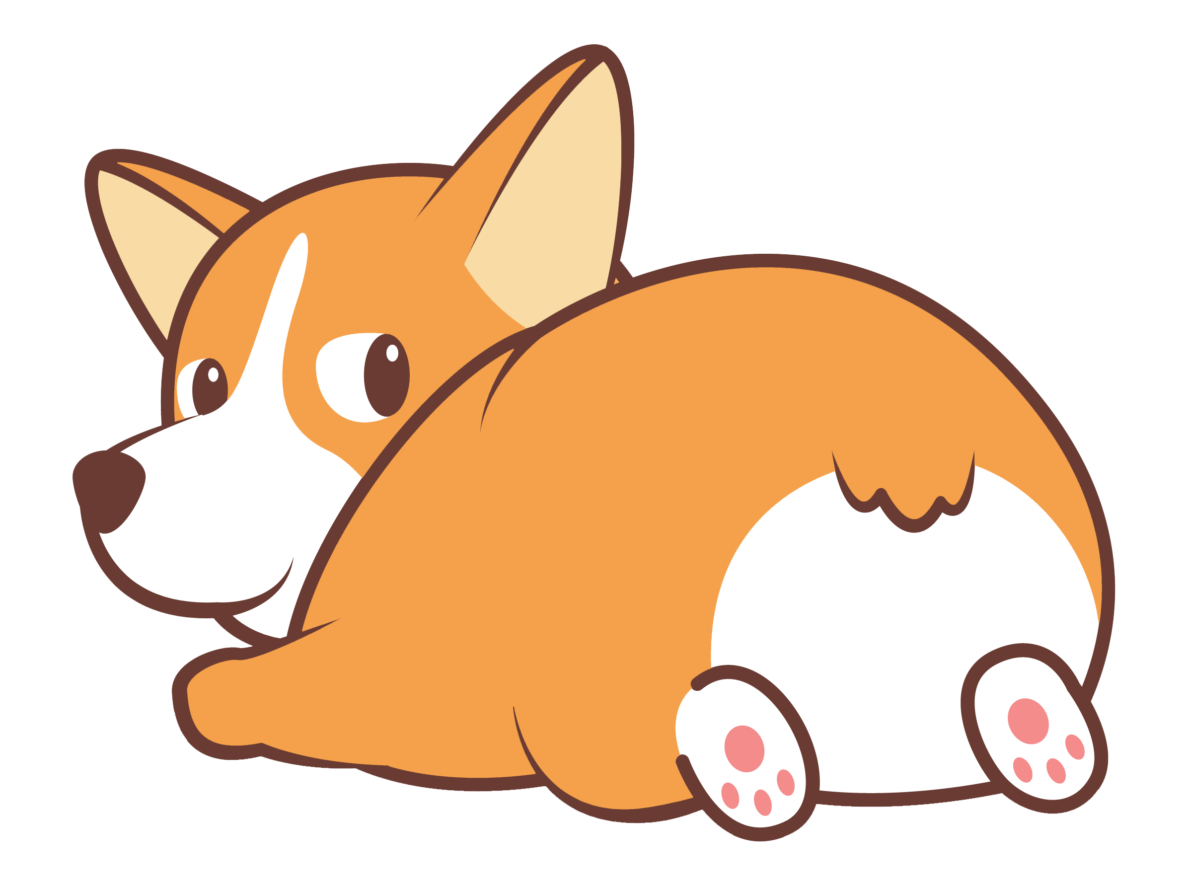 Corgi Coin